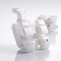 discovery®pearl, keramičke bravice - Dentaurum