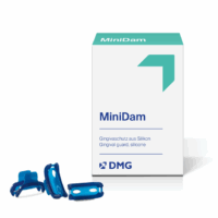 MiniDam - DMG